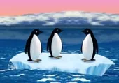 Imagen del juego: Pingüinos - Turbochargued Penguins!